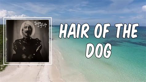 hair of dog lyrics